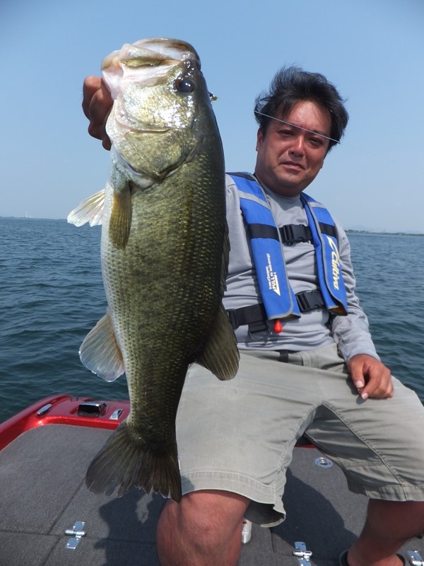 琵琶湖で直リグ釣れる