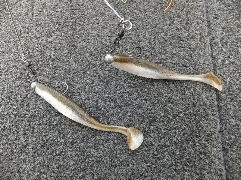 冬の琵琶湖で釣れるルアー