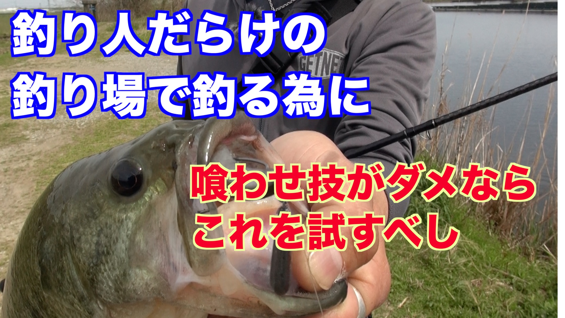 釣り人だらけの釣り場で釣る為に、喰わせ技がダメな時これを試す